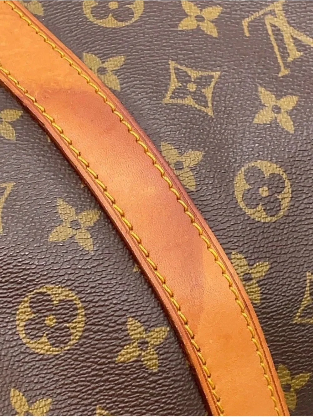 Louis Vuitton iconic louis